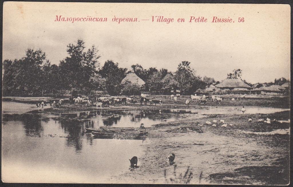 Ещё одни не Турбаи