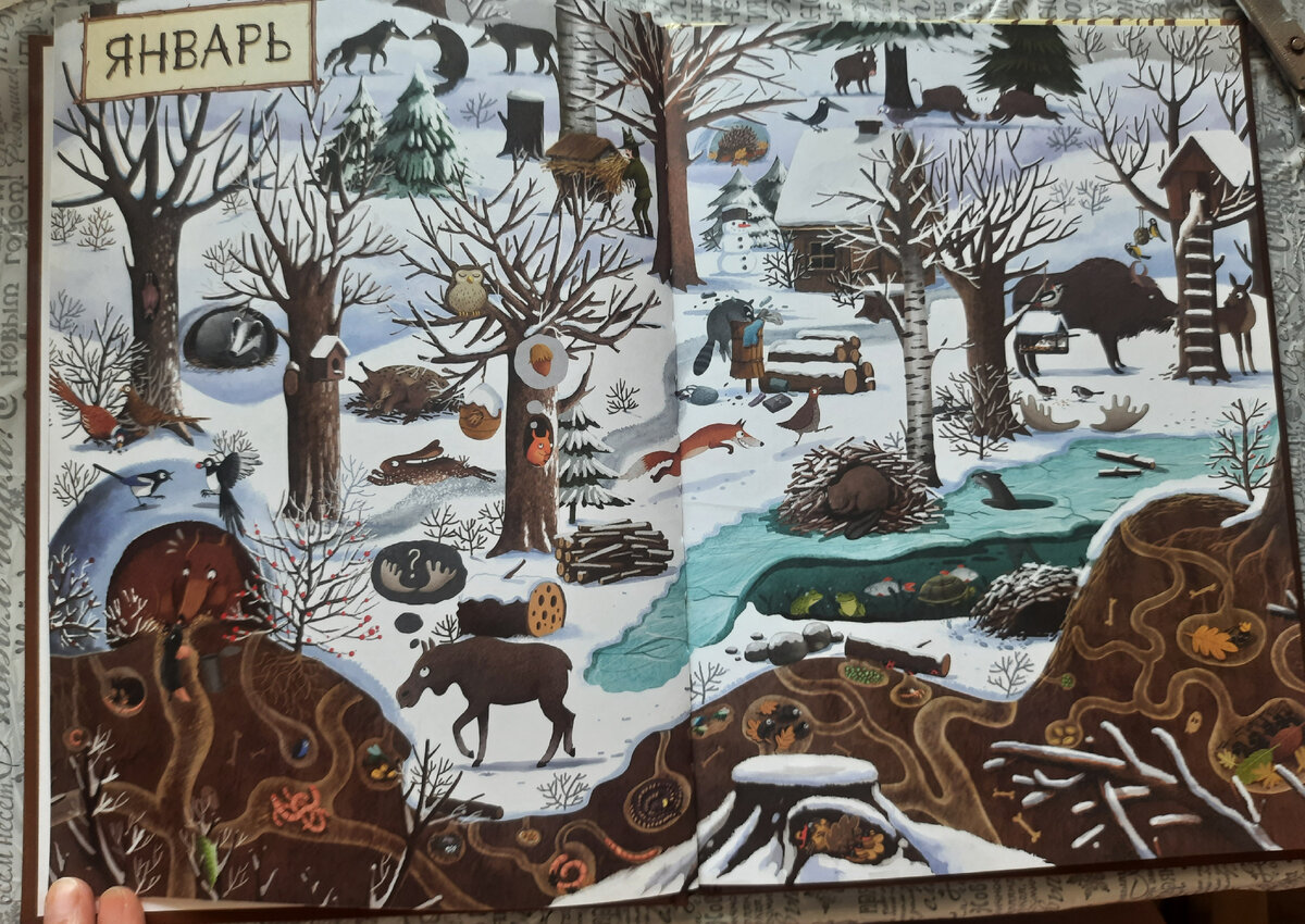 Кто что делает зимой