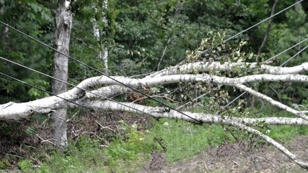    © Photo: Telegram / Belenergo