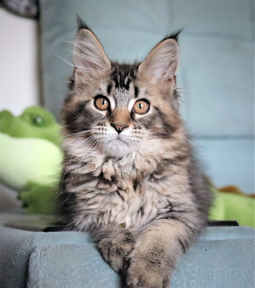 Фото из личного архива.