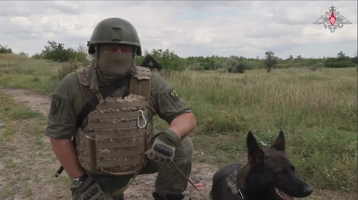 Фото: Telegram-канал @mod_russia