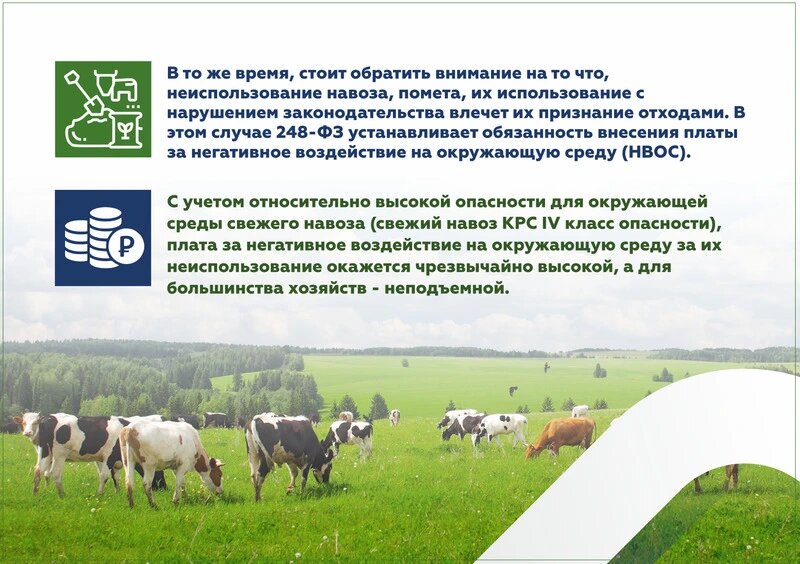 Требования к обращению побочных продуктов животноводства. Продукция животноводства. Побочные продукты животноводства. Экология животноводства. Минусы животноводства для окружающей среды.