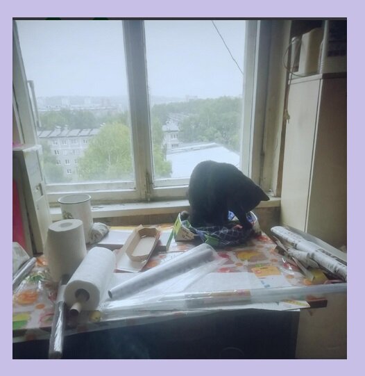 Кот и ремонт.