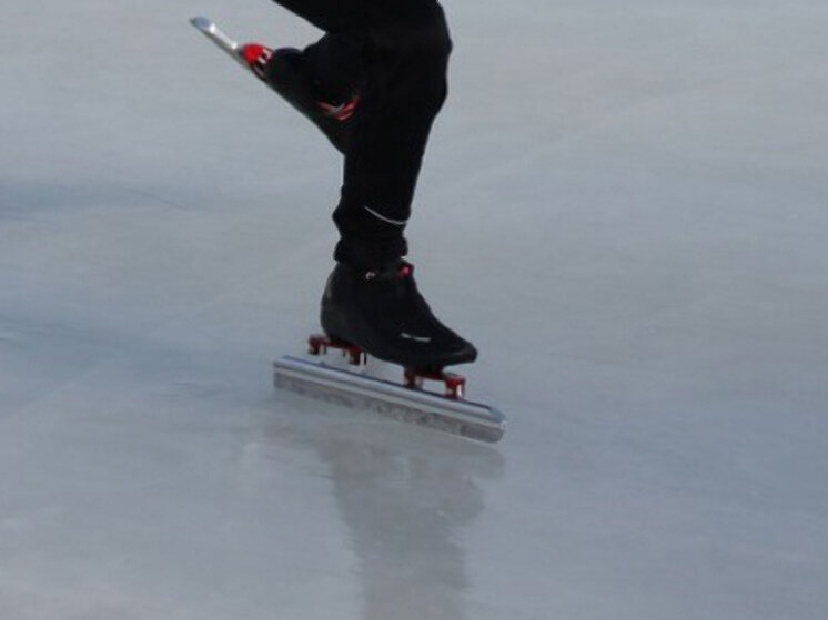     Будут организованы дополнительные сеансы в будние дни. Фото: пресс-служба Минспорта МО