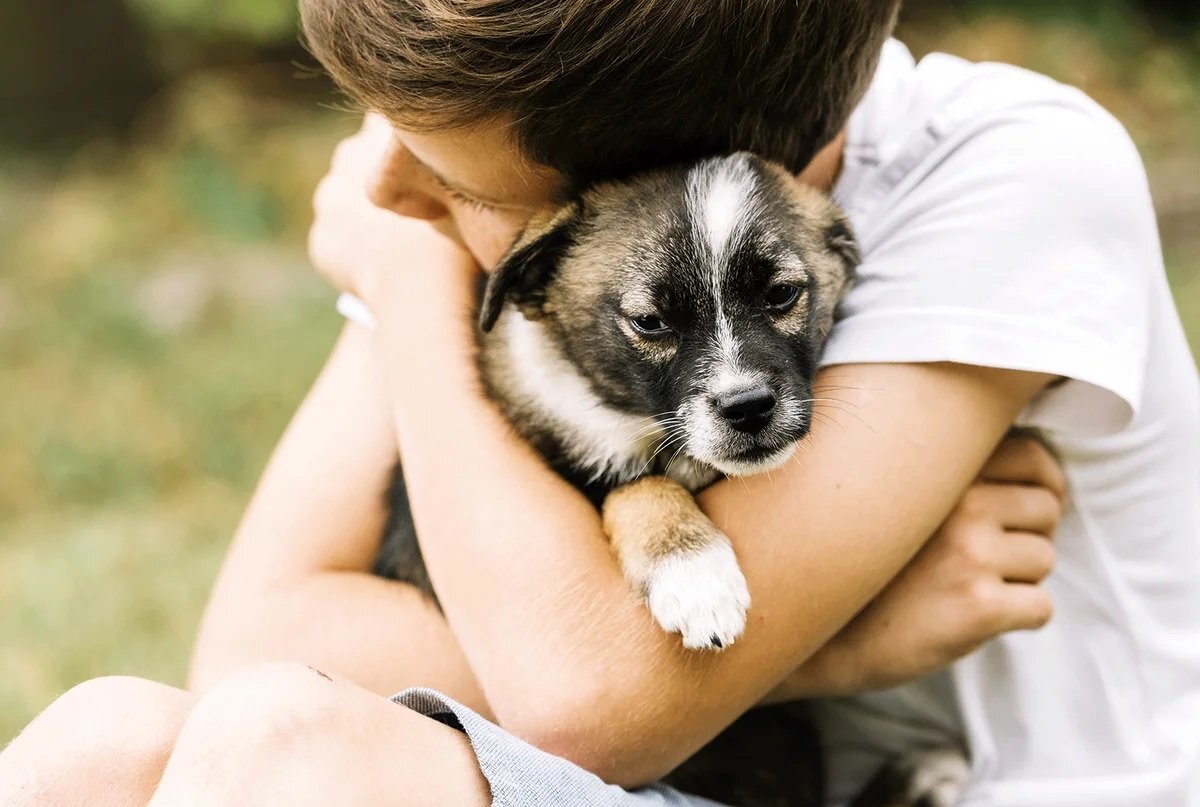 Из открытого доступа