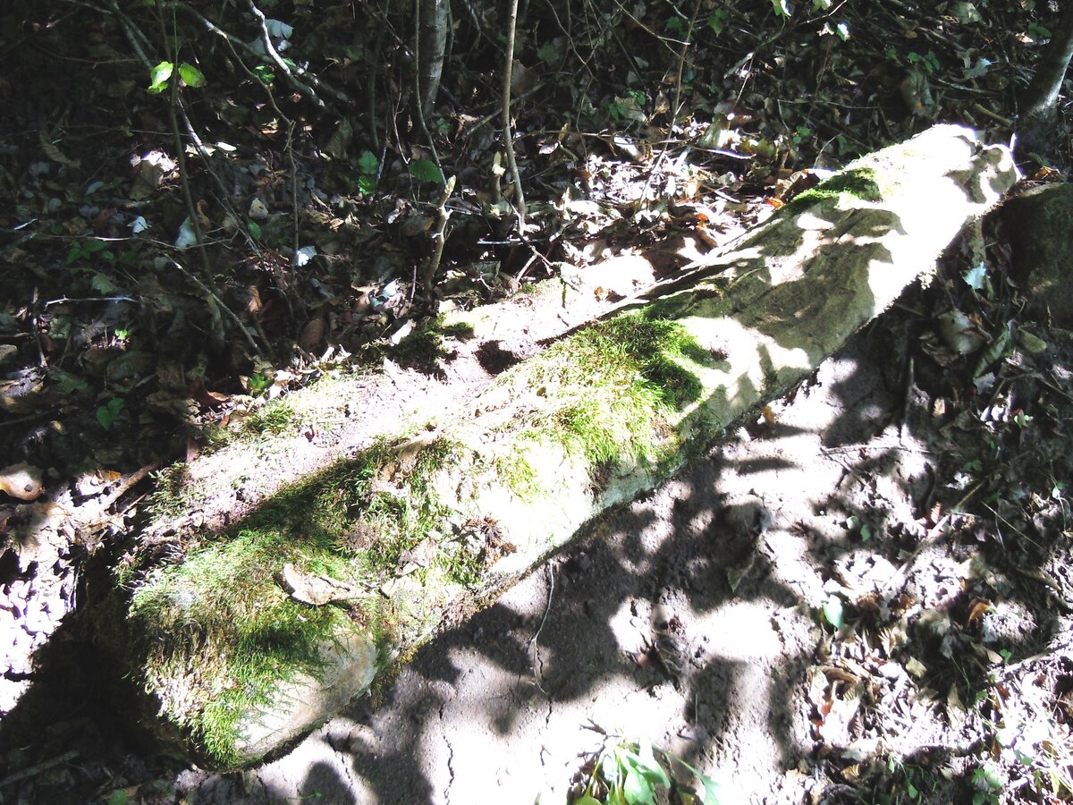 Далее переносимся к станице Новосвободной и посмотрим, как там дела с памятниками археологии в 2023 году.-14