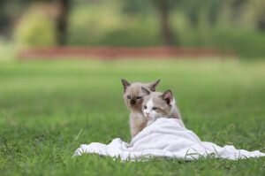    фото: freepik.com/jcomp Мария Михайловская