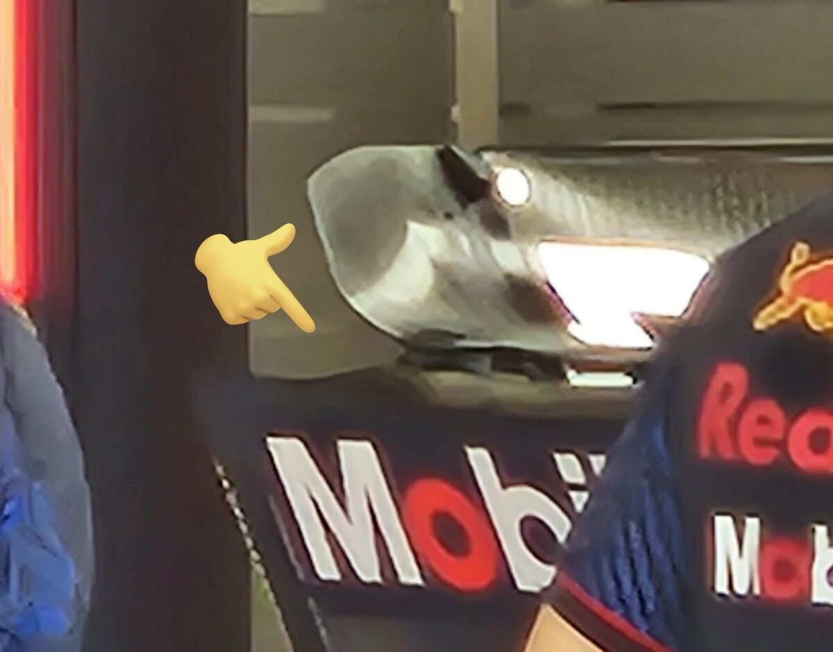 Фото: Соцсети  📷
