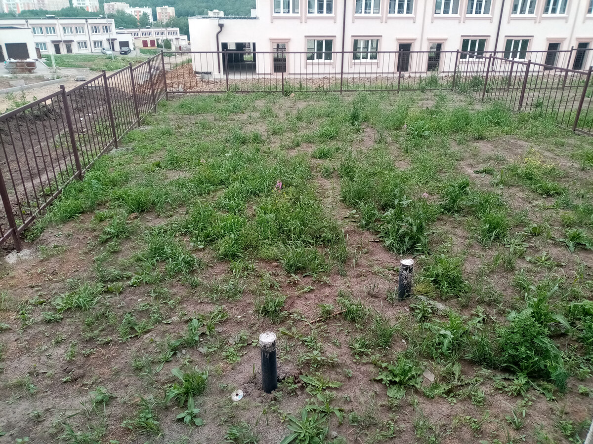 Мой огород в таунхаусе. 