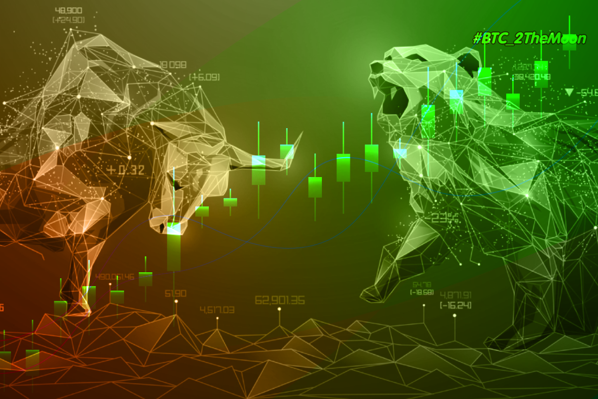 Бычий и медвежий крипторынок: в чем разница и как зарабатывать на них |  BTC_2TheMoon | Биткоин, блокчейн, криптовалюта | Дзен