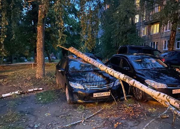 Фото: соцсети
