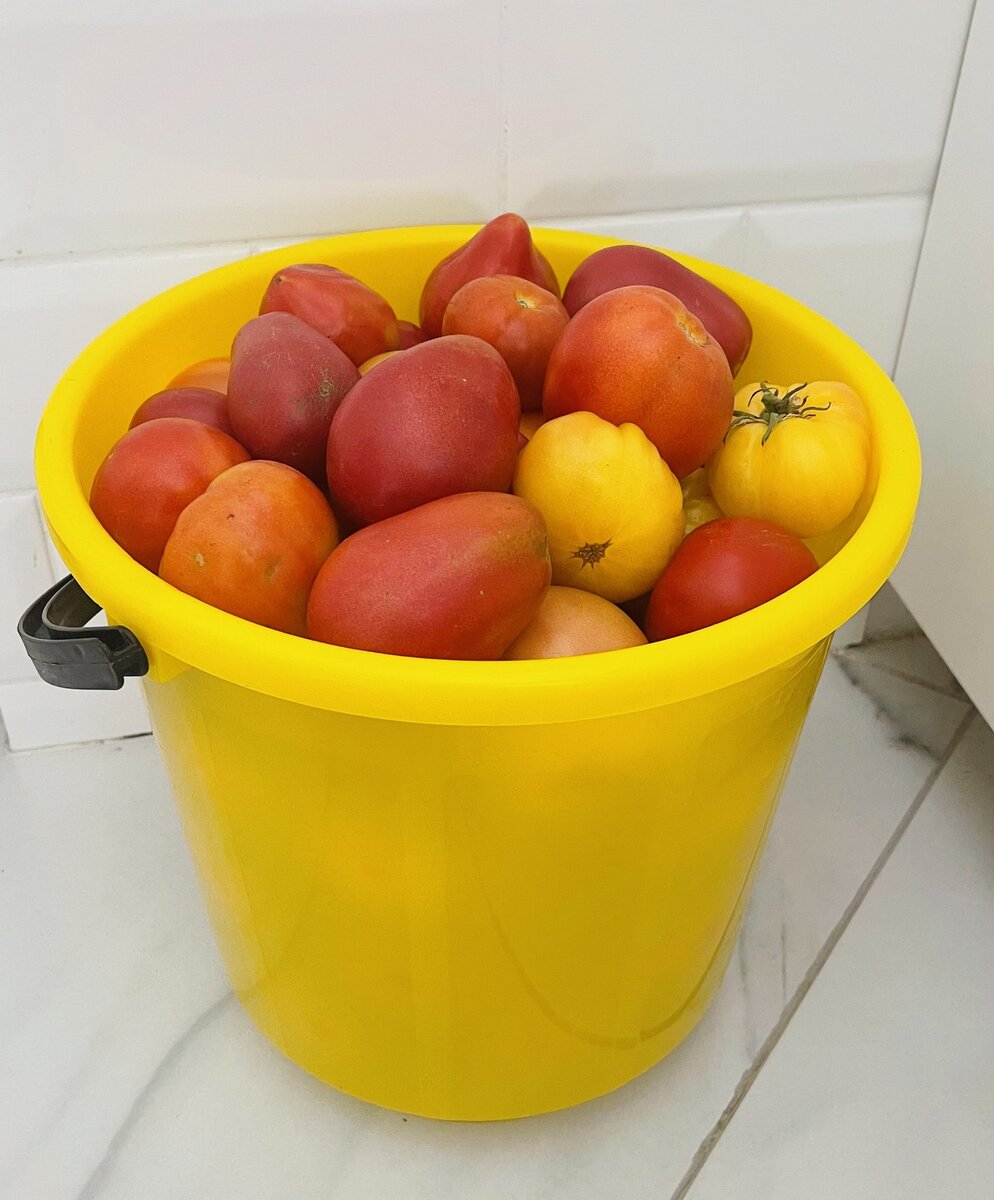 Ведро урожая