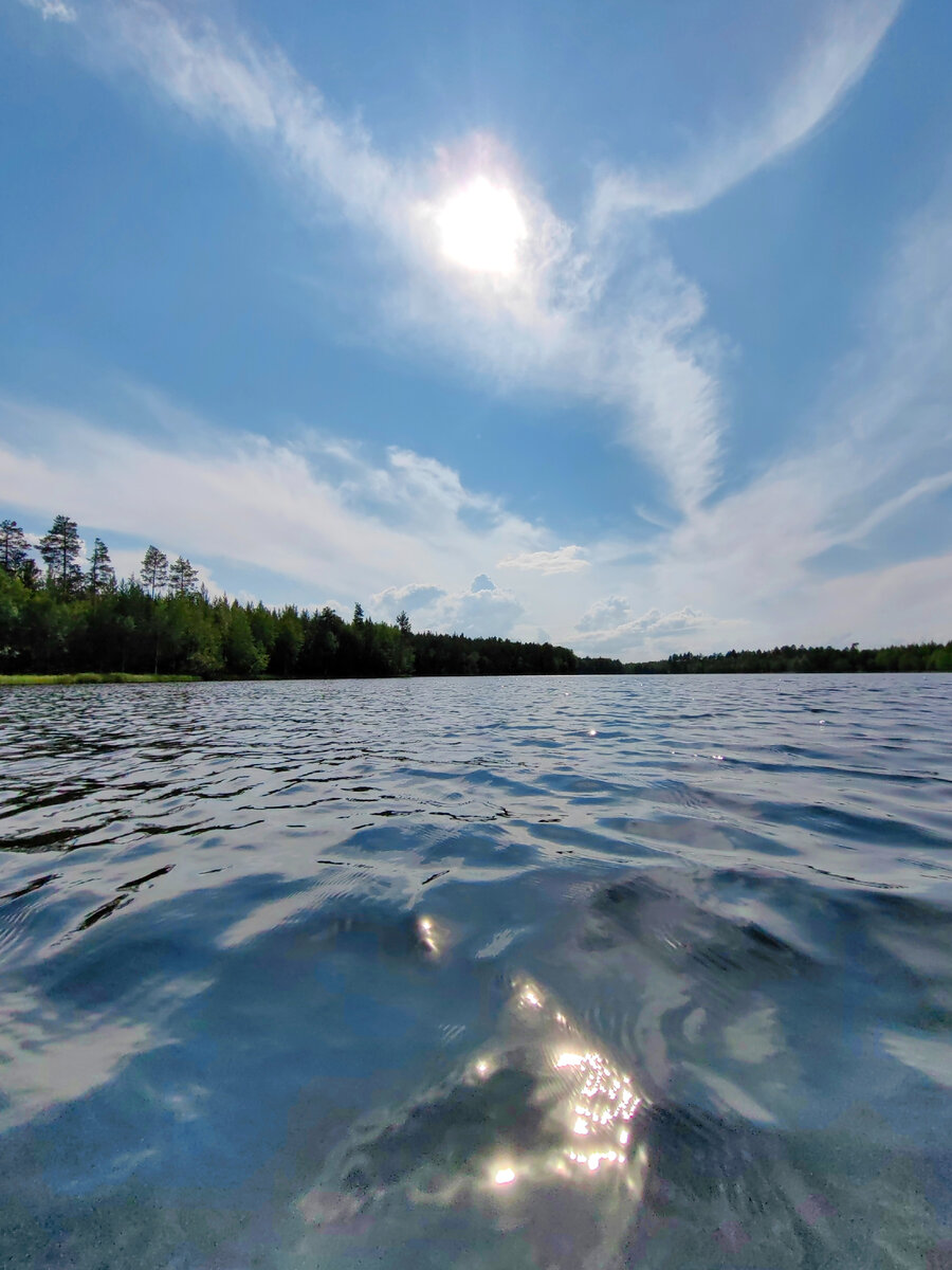 у Солнца выросли крылья)))