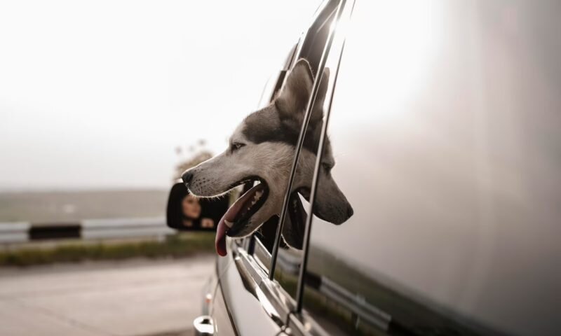 Фото freepik.com