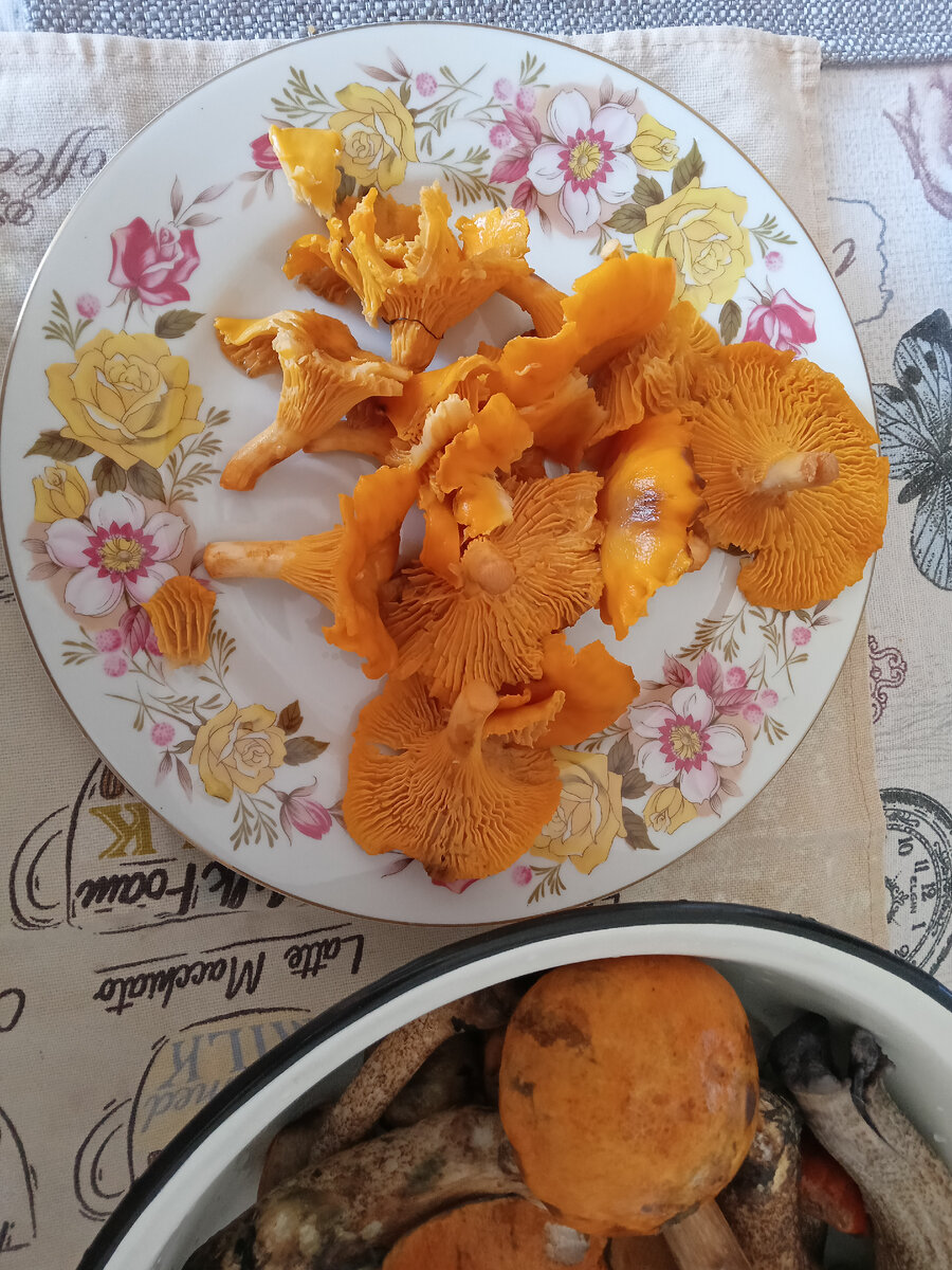 Фото автора.