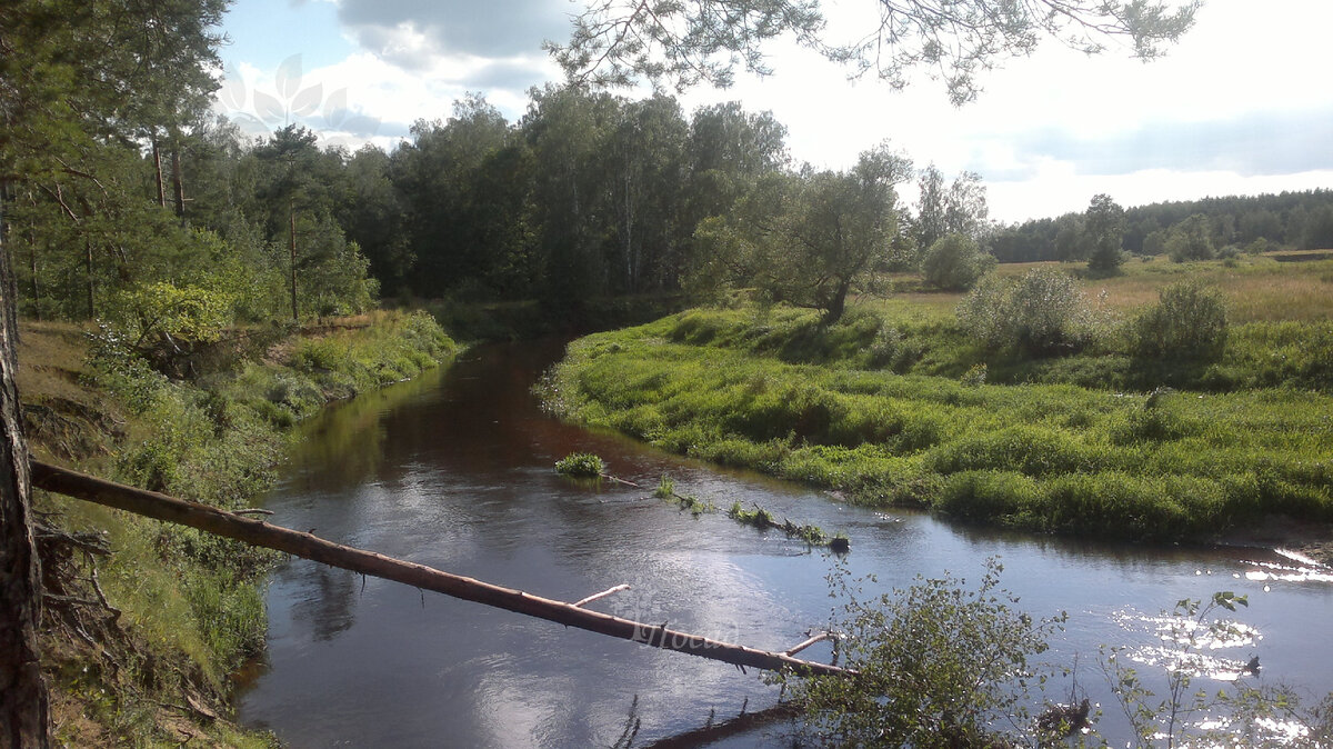 Купили домик в деревне «за две бутылки водки», а теперь готовы отдать  даром. Но никто не берёт | Посад | Дзен