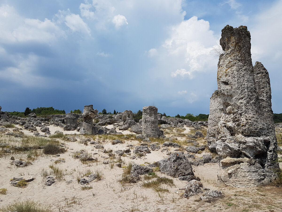 Каменный лес. Болгария, 22.06.2018