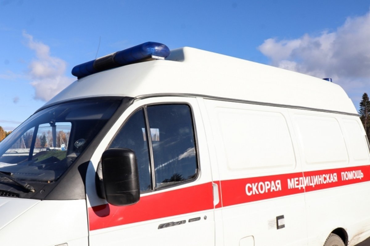    44-летний водитель МАЗа сбил пешехода в Навлинском районе Брянщины