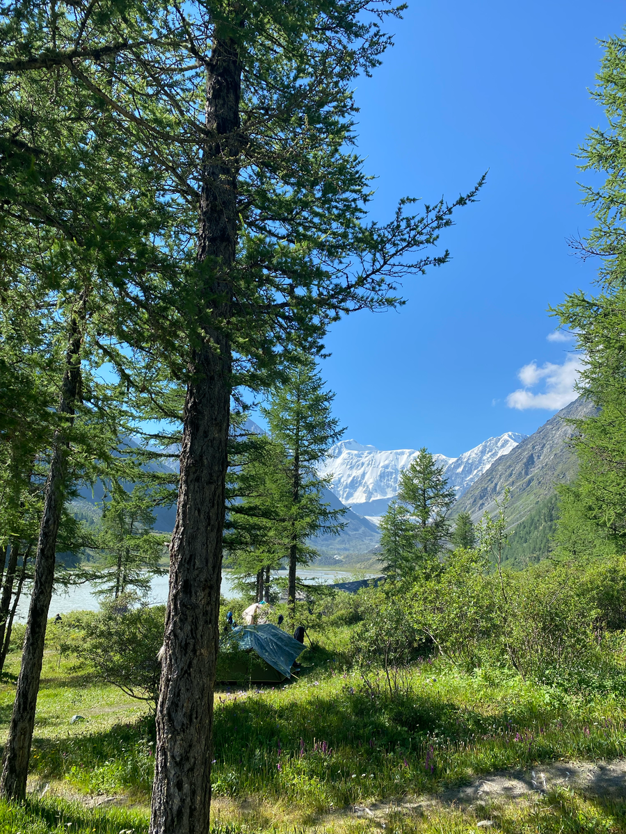 От озера тропа идет через хвойный лес