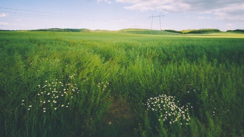 Фото:  @natashagill9800 / ru.freepik.com