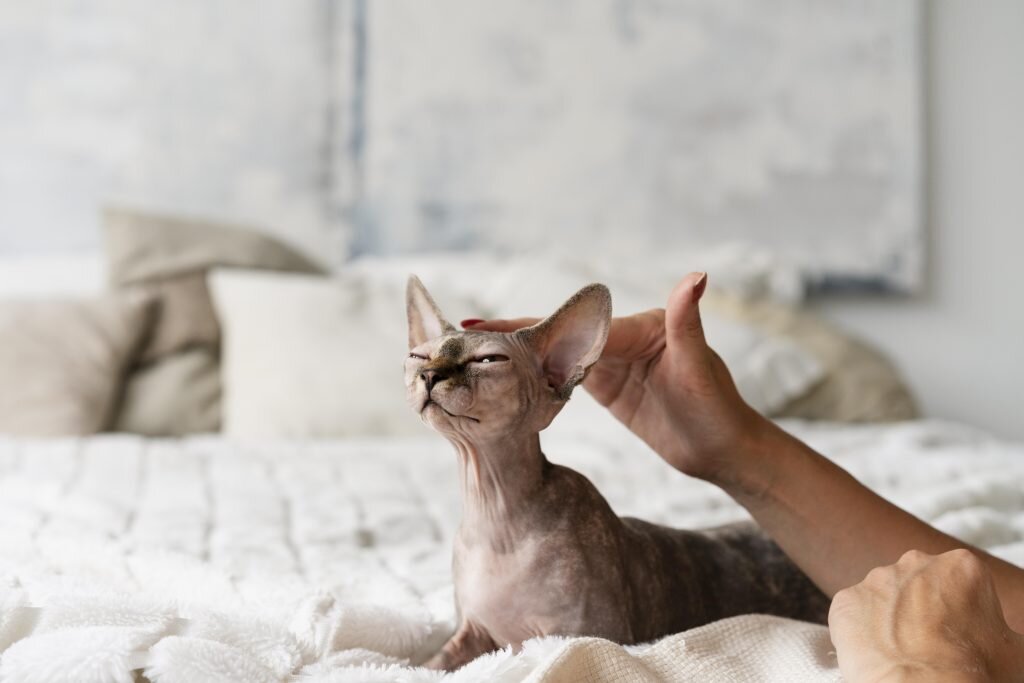 Фото: freepik.com