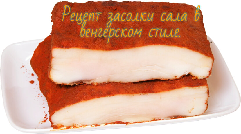 сало по венгерский 