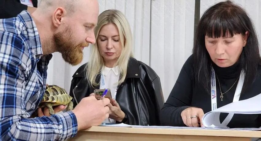 Листайте вправо, чтобы увидеть больше изображений