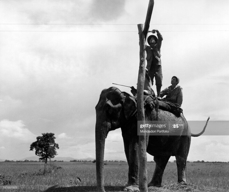 Фото: Getty Images