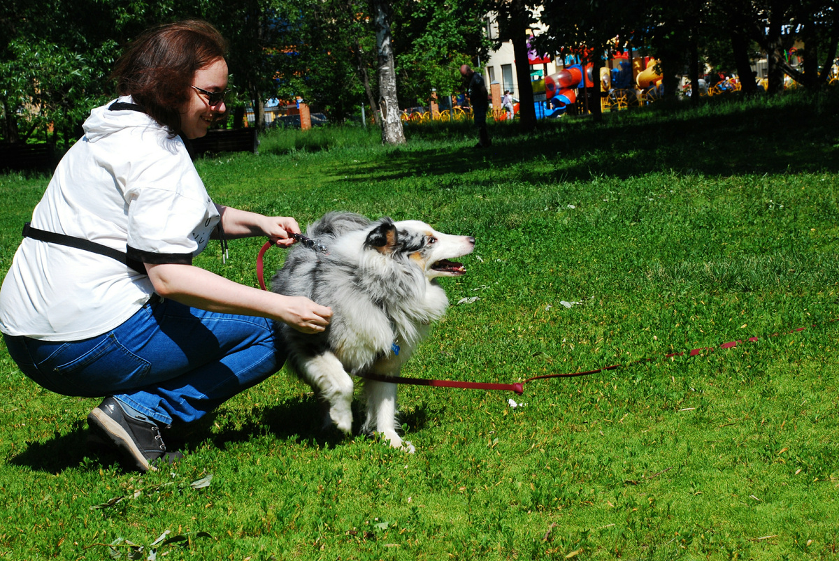 Фото: https://dzen.ru/no13