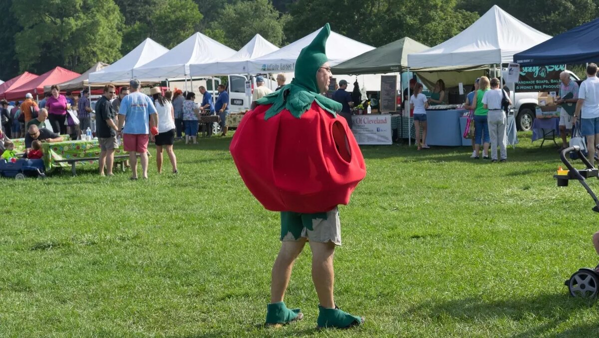     В Ростове куст с помидорами смог вырос на асфальтированном тротуаре, тем временем митрополит Меркурий назвал ЭКО вмешательством в промысел Бога, а губернатор создал группу для борьбы с диверсантами.