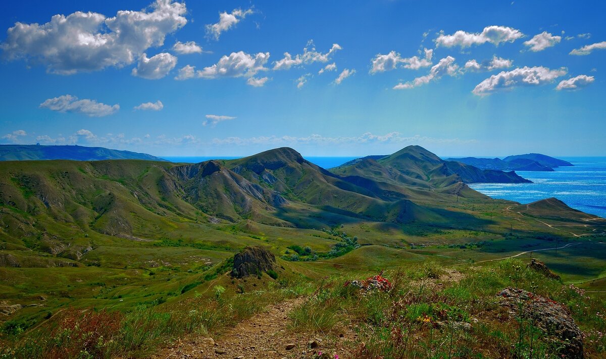 Изображение с сайта Pixabay 