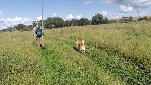 Возвращаемся в лагерь. В бане обнаружили мышиное семейство