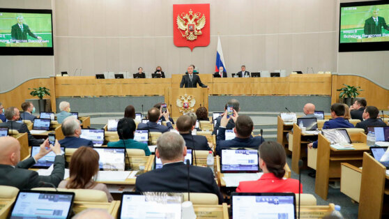    ГД в приоритетном порядке рассмотрит вопросы оказания помощи участникам СВО Ирина Петрова