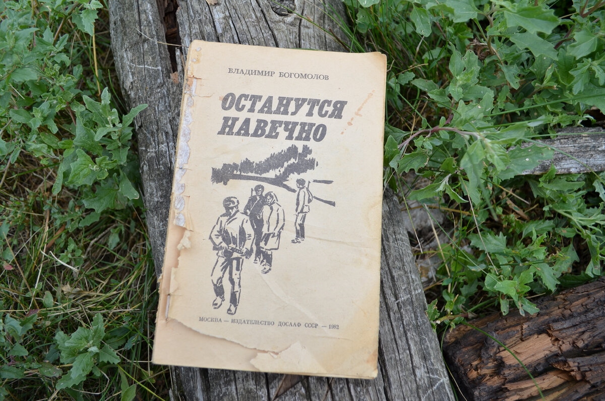 Книга осталась однажды без обложки. В галерее - какой должна быть. Фото автора