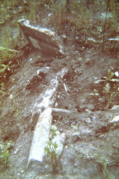 Курган № 40, погребение 2