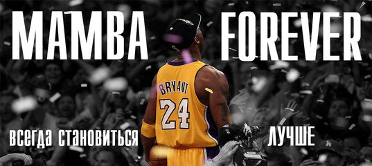 принципы  которые помогут в развитие бизнеса 