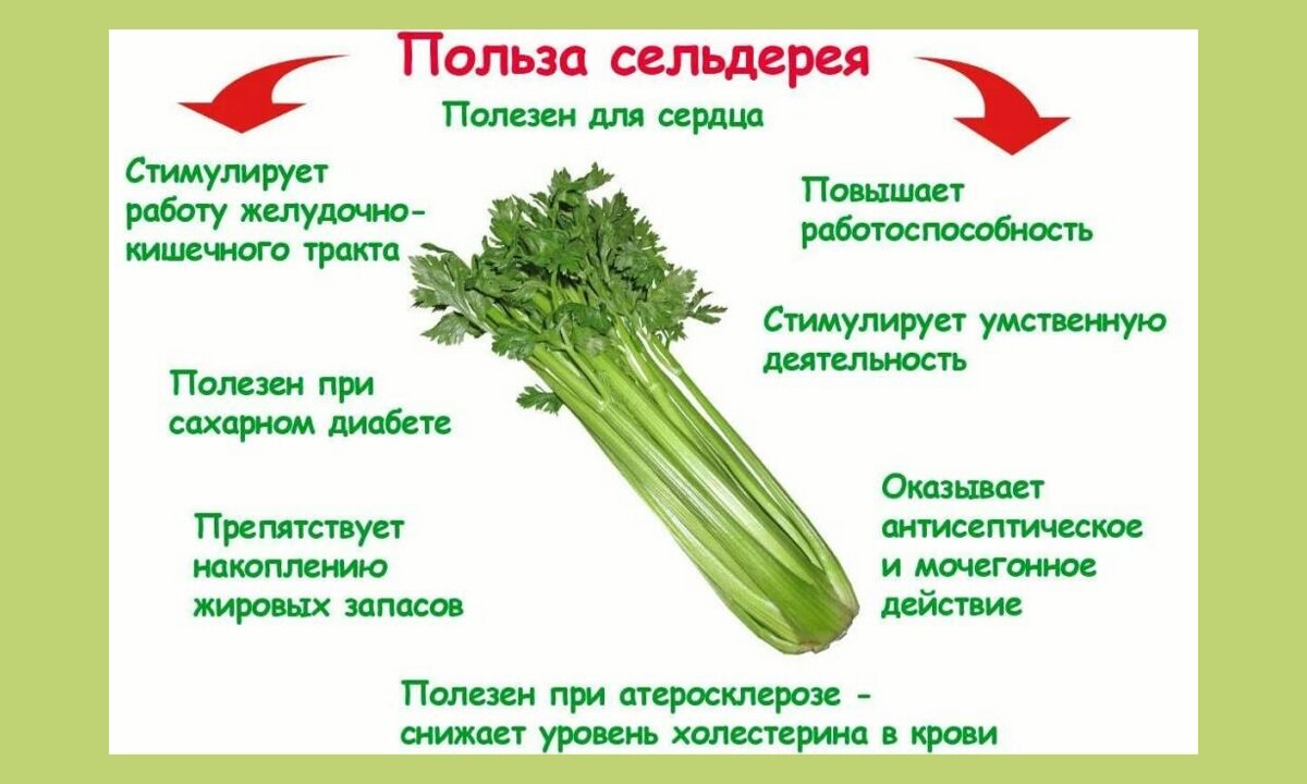 1. Салат с сельдереем, курицей, виноградом и грецкими орехами