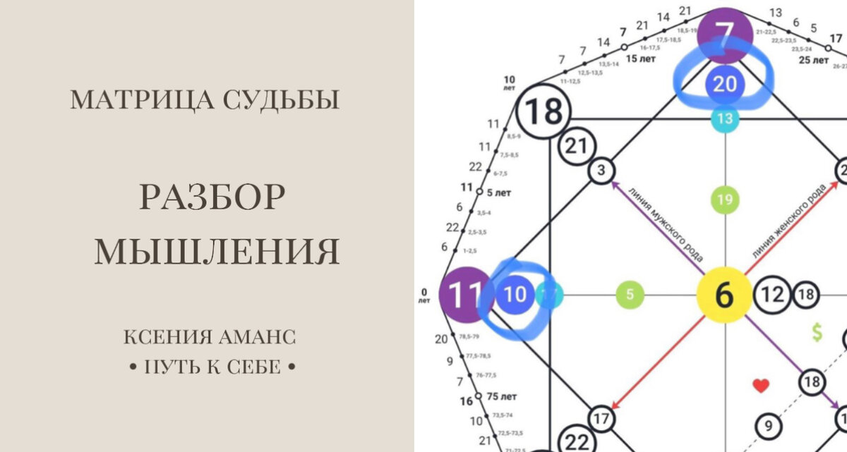 Аджна в матрице судьбы. Программа расчета матрицы судьбы. Матрица судьбы натальи ладини. Предназначение в матрице судьбы. Матрица судьбы.