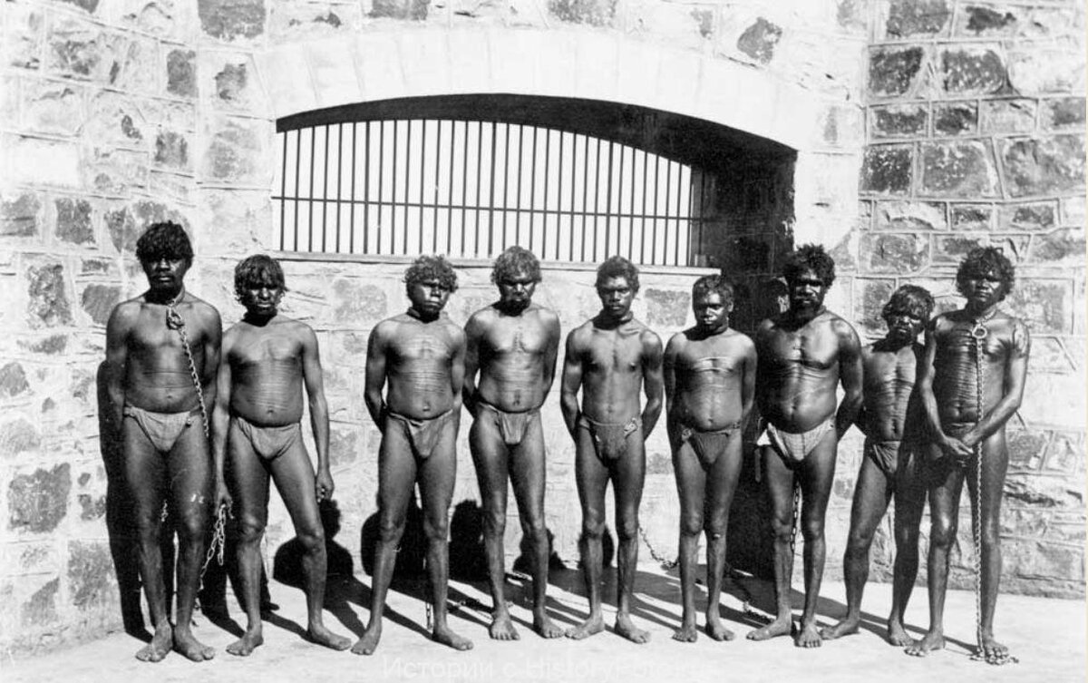 Конституция Австралийского Союза, действовавшая в середине XIX века, предписывала (статья 127) "не учитывать аборигенов" при подсчете населения. Таким образом, на конституционном уровне, аборигены объявлялись не людьми. В 1865 г. европейцы, столкнувшись с коренными жителями, не были уверены, имеют ли они дело «с умными обезьянами» или это просто «низкоразвитые люди». Все они жаждали получить землю, и никто из них не собирался позволить черным препятствовать этому. Поэтому англичане начали беспощадно уничтожать аборигенов, как за несколько лет до этого вырезали всех жителей Тасмании до единого.
В газете 1885 г. писали: "Чтобы успокоить ниггеров, им дали нечто потрясающее. Еда, которую им раздавали наполовину состояла из стрихнина - и никто не избежал своей участи... Владелец Лонг-​Лэгун при помощи этой хитрости уничтожил более сотни черных". "В прежние времена в Новом Южном Уэльсе бесполезно было добиваться, чтобы те, кто приглашал в гости черных и давал им отравленное мясо, понесли заслуженное наказание". (Janine Roberts, S. 30; Hirst & Murray & Hammond, Liberalism and Empire (London, 1900)) Некий Винсент Лесина еще в 1901 г. заявил в австралийском парламенте: "Ниггер должен исчезнуть с пути развития белого человека" - так "гласит закон эволюции".
В Квинсленде (Северная Австралия) в конце XIX в. невинной забавой считалось загнать целую семью "ниггеров" - мужа, жену и детей - в воду к крокодилам. В среде англо-​австралийских фермеров процветала торговля туземными женщинами, и английские поселенцы охотились на них целыми группами. В одном правительственном сообщении за 1900 г. отмечается, что "этих женщин передавали от фермера к фермеру", пока "в конечном счете, их не выбрасывали как мусор, оставляя гнить от венерических болезней". [H. Reynolds, Other side of Frontier, p. 17; Janine Roberts, Nach Volkermord Landraub, S. 33.]
Правительство считало смешанные браки "унизительными для английского мужчины, хоть эти мужчины почти всегда были самого низкого происхождения". Но самым веским доводом против подобного рода связей было "появление на свет гибридов". Женщин следует "держать в полной изоляции, чтобы не допускать этого зла". Подобная позиция получила даже некоторую наукообразность благодаря публикации таких книг, как "Наука о человеке" (1907), которая "поясняла": "Ублюдочные помеси среди людей точно так же нежизнеспособны, как помеси низших животных; такие помеси обычно вырождаются и вымирают". На фото пойманные аборигены для продажи в рабство.
Одна мельбурнская газета назвала типичным для того времени следующее высказывание: "Если бы правительство завтра объявило сезон охоты на черных, я бы первым обратился за лицензией".
Англосаксонские низкоквалифицированные рабочие издевались над коренными жителями, утверждая тем самым свое расовое "превосходство".
Британский управляющий Ричард Блай безуспешно пытался защитить туземных женщин и детей. В 1849 г. он докладывал о злодеяниях, совершенных их убийцами. После этого все английское колониальное сообщество отвернулось от него - так поступали с каждым, кто пытался защищать "ниггеров". Требования из Лондона игнорировались колонистами, а дарование Австралии в 1855 - 1856 гг. автономии вообще положило им конец. Потом они же охотились за черепами - для обмена с дикими племенами. Когда плантаторы Квинсленда не могли более надеяться на получение новых британских каторжных рабочих, началась охота за меланезийцами (1860-е гг.), которых северо-​австралийские колонисты обращали в рабов.
В 1872 г. аборигенами в отместку был убит англиканский епископ Меланезии Джон Паттесон. Только такое громкое событие смогло привлечь внимание британского парламента к проблеме злодеяний на севере Австралии, вынудив его принять соответствующие меры. Однако прошло много лет, прежде чем эти меры принесли какие-​то практические результаты. Ведь подобные разоблачения всегда заглушались голосами заинтересованных лиц.
В целом именно Австралия (и прежде всего Тасмания) явилась тем регионом, в котором "расовые инстинкты", "здоровое национальное чувство" англичан-​колонистов были беззастенчиво направлены против самых беззащитных из всех человеческих существ - и все это происходило в не столь давние времена. На фото пойманные аборигены для продажи в рабство.
Одно из последних задокументированных массовых убийств аборигенов на Северо-​Западе произошло в 1928 г. Свидетелем этой резни стал миссионер, решивший разобраться в сообщениях аборигенов о непрекращающихся убийствах. Он последовал за полицейским отрядом, направлявшимся в резервацию аборигенов в Форест-​Ривер, и увидел, что полицейские захватили целое племя. Пленных сковали, построив затылок в затылок, а потом всех, кроме трех женщин, убили. После этого они сожгли трупы, а женщин взяли с собой в лагерь. После многочисленных изнасилований, прежде чем покинуть лагерь, они убили и сожгли и этих женщин.
Доказательства, собранные этим миссионером, в конечном счете заставили власти начать расследование, которое проводила "Королевская комиссия по расследованию убийства и сожжения аборигенов в Восточном Кимберли и методов, используемых полицией при их арестах" (1928. West Australian Parliamentary Papers. Vol. 1. P. 10.). Тем не менее, полицейские, ответственные за случившееся, так и не предстали перед судом. На фото пойманные аборигены для продажи в рабство.
В Австралии не было нужды в тайной государственной машине истребления - все зверства совершались среди бела дня белым населением. Английские поселенцы открыто действовали на широких просторах внутри континента - движимые той силой, которую и Хьюстон Стюарт Чемберлен, и Адольф Гитлер предпочитали интеллекту: инстинктом. Колонисты не получали прямых указаний из Лондона об уничтожении аборигенов, но нельзя сказать, что никто из британских мыслителей не "благословил" их. Так, например, Бенджамин Кидд заявил: "Инстинкты масс имеют более глубокую научную основу, чем интеллект образованных людей". (Кидд категорически утверждал, что "рабство - самое естественное и одно из самых разумных установлений").
Немецкий писатель Ханс Гримм еще накануне второй мировой войны в духе своего фюрера пытался напомнить британцам, что первостепенное значение для всего человечества имеют задачи, стоящие перед белой расой - перед англичанами и немцами. (Hans Grimm, Englische Rede. Wie ich die Englander sehe. Gutersloh, 1938)
И именно Австралии, стране, столь приверженной делу белой расы и английскому расизму, в 1919 г. в качестве "подмандатной территории" была передана часть Новой Гвинеи, захваченная Германским рейхом. В результате регион, где немецкое господство оставило в памяти туземцев добрую память о себе (в отличие от африканских колоний), подпал под власть крайне расистской Австралии. В Новой Гвинее немецкая колонизация была как "золотой век" - по сравнению с правлением новых колониальных хозяев, чья "расистская жестокость так живо запечатлелась в памяти". До оккупации немецкой части Новой Гвинеи австралийцами британского происхождения на этой территории не функционировали законы о расовой чистоте. Австралийские англосаксы, создавшие законы о расах, "совершили неслыханное в деле колонизации" - так отзывался об их делах Адольф Гитлер.
Подобная реализация расовой дискриминации населения, скорее всего, и могла послужить примером для Гитлера для освоения "пространств на Востоке", и послужить моделью для германизации земель - после геноцида и низведения оставшихся жителей до статуса "недочеловеков". На фото пойманные аборигены для продажи в рабство.
