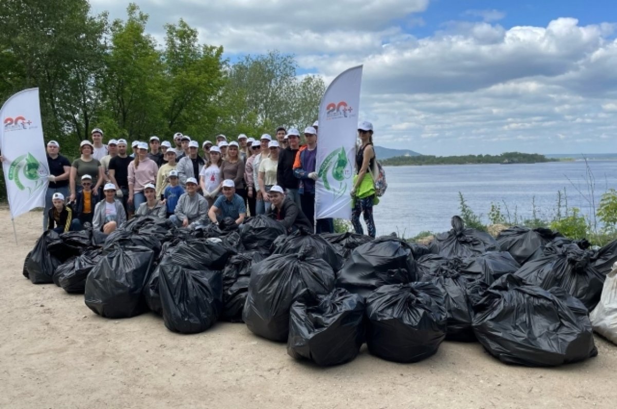    Энергетики очистили от мусора берега Волги