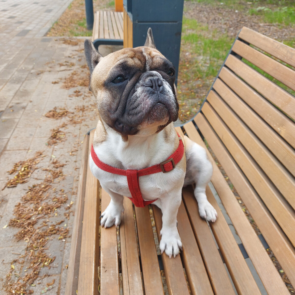 Кто здесь самый красивый?