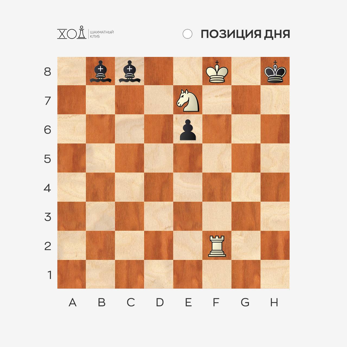 Задачи по шахматам