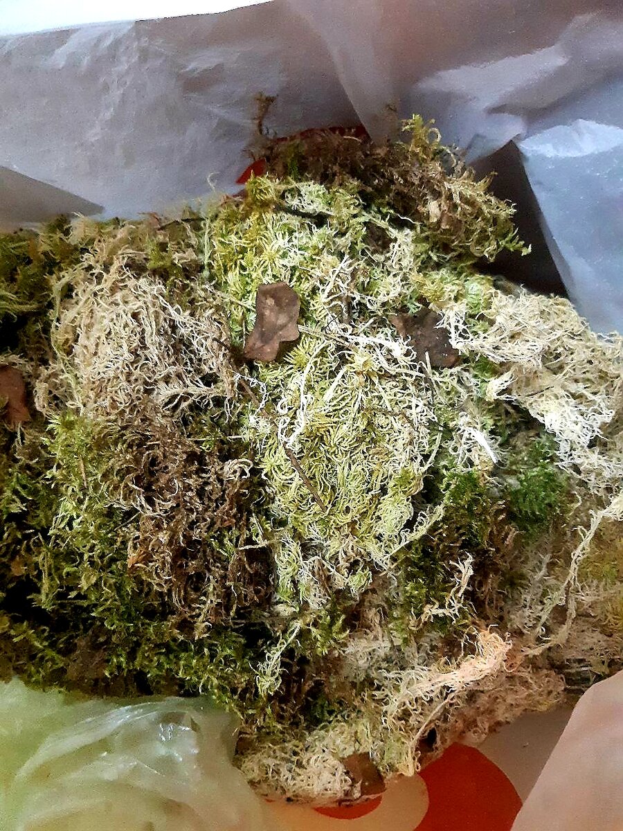 Мох для торта