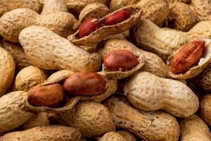    Фото: freepik.com Анна Полякова