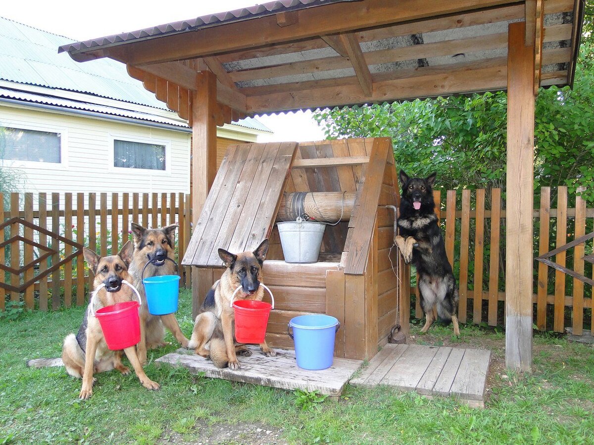 источник фото: https://mykaleidoscope.ru/x/uploads/posts/2022-10/1666334299_49-mykaleidoscope-ru-p-khorosho-na-dache-letom-vkontakte-49.jpg