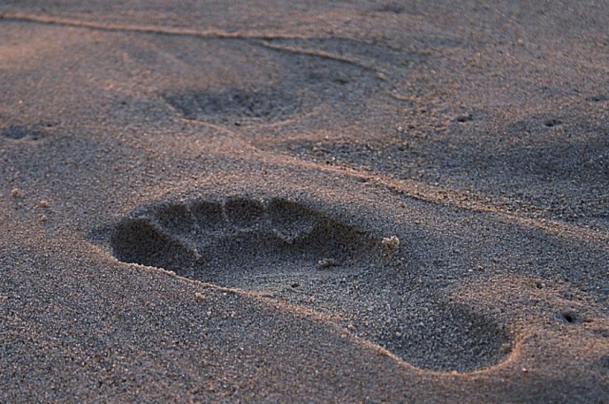    В Якутии за последние 20 лет не были найдены 10 детей