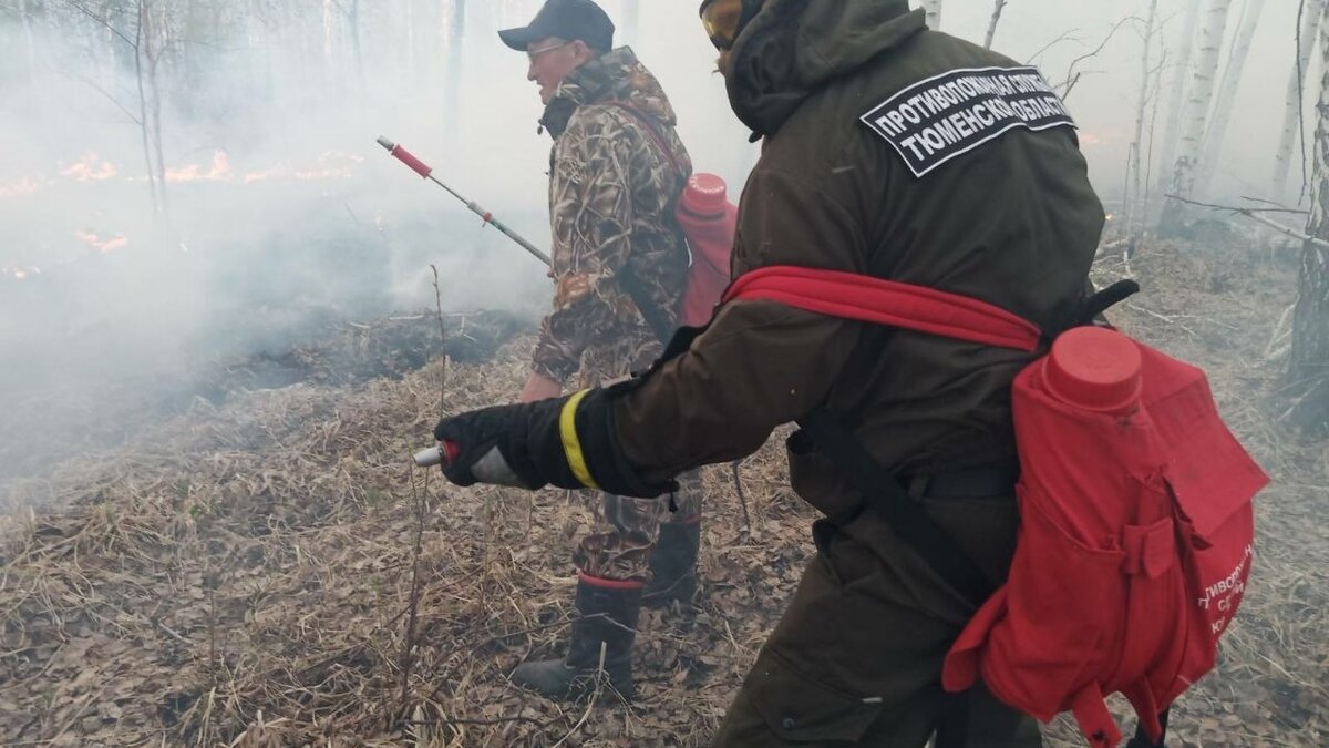     Девять лесных пожаров, в том числе четыре локализованных, действуют на территории Тюменской области.
