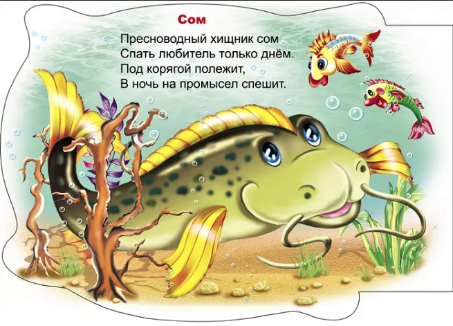 фото с ресурса Яндекс картинки