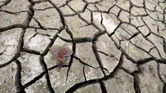    Индийский чиновник осушил водохранилище ради смартфона за 00 Сергей Бунеев