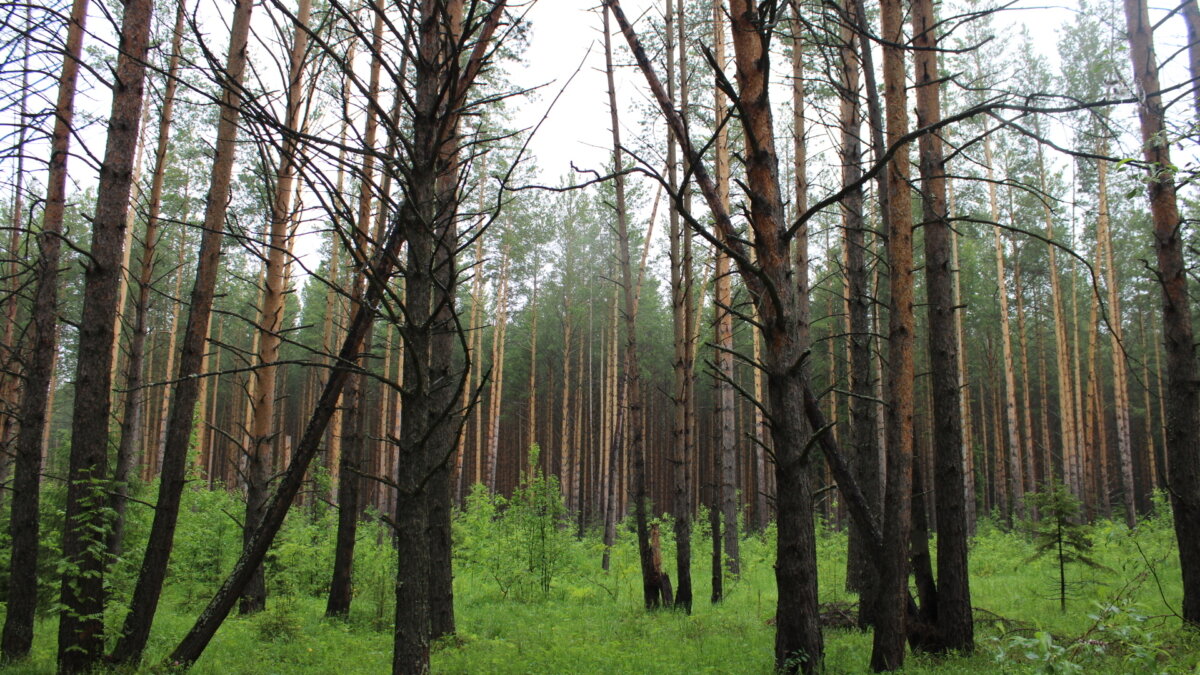 ИА SM News Екатеринбург📷
